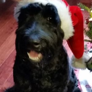 Meet your Posher, Debbie